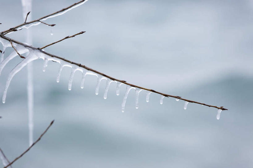 无人,横图,室外,特写,白天,正面,美景,树林,植物,静物,融化,冰,景观,冬季,冬天,冰柱,树,树木,自然,景色,寒冷,生长,成长,自然风光,严寒,彩图