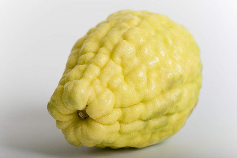 无人,横图,室内,白天,白色背景,正面,水果,新鲜,生食,食品,果实,食物,一个,黄色,摄影,有机食品,绿色食品,影棚,单个,枸橼子,香橼,拘橼,彩图,影棚拍摄,拍摄