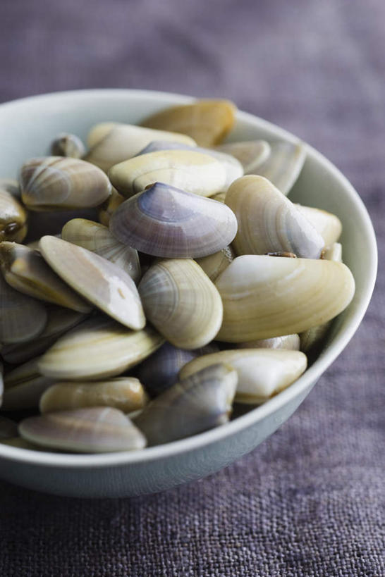 海鲜,无人,竖图,俯视,室内,特写,白天,餐桌,桌子,许多,蛤蜊,水产,海洋生物,碗,蛤,摄影,影棚,餐台,水生动物,海产品,水生物,海底动物,蛤仔,彩图,高角度拍摄,影棚拍摄,拍摄