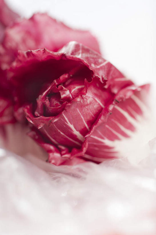 无人,竖图,室内,白天,白色背景,正面,蔬菜,椰菜,卷心菜,朦胧,模糊,新鲜,食品,食物,一个,有机食品,绿色食品,单个,结球甘蓝,甘兰,包心菜,彩图