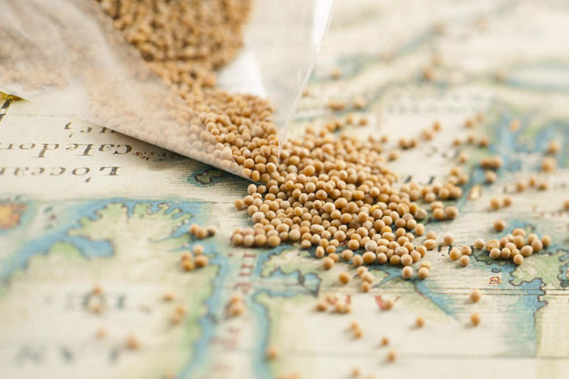 无人,横图,室内,白天,正面,植物,道路,豆,大豆,蔬菜,袋子,地图,一堆,许多,堆叠,堆积,新鲜,信息,豆类,豆子,毛豆,食品,交通,方向,塑料袋,食物,有机食品,绿色食品,引导,指引,堆,豆科,枝豆,黄豆,彩图,导航