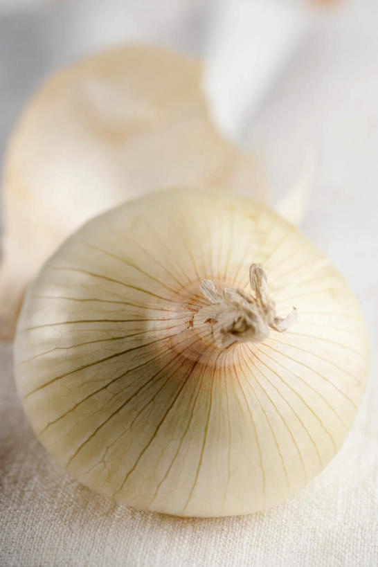 无人,竖图,俯视,室内,特写,白天,蔬菜,洋葱,朦胧,模糊,新鲜,食品,食物,两个,摄影,有机食品,绿色食品,影棚,圆葱,洋葱头,球葱,彩图,高角度拍摄,影棚拍摄,拍摄