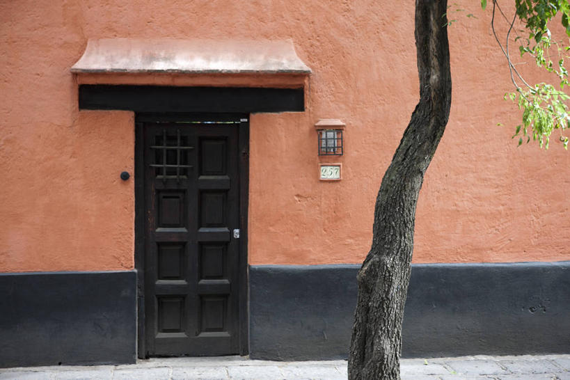 无人,家,横图,室外,白天,正面,植物,门,城市,墨西哥,房屋,墙,屋子,首都,楼房,墙壁,墙面,住宅,树,树木,绿色,黑色,自然,门框,生长,成长,北美,北美洲,美洲,墨西哥城,北亚美利加洲,亚美利加洲,墨西哥合众国,仙人掌王国,联邦区,彩图,房子