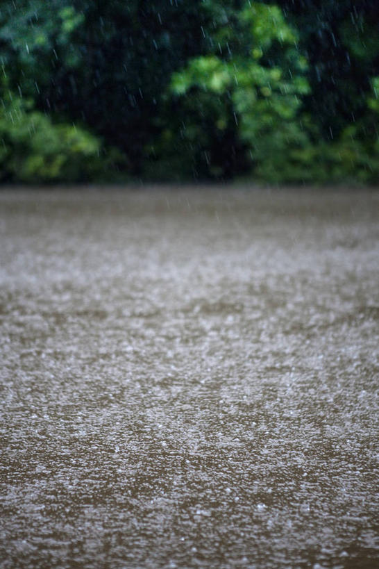 无人,竖图,室外,白天,正面,旅游,度假,河流,美景,森林,树林,水,雨,植物,暴雨,大雨,亚马逊河,朦胧,模糊,河水,景观,水流,娱乐,树,树木,绿色,自然,享受,休闲,景色,南美,放松,生长,成长,细雨,南美洲,拉丁美洲,自然风光,美洲,亚美利加洲,南亚美利加洲,亚马孙河,小雨,彩图