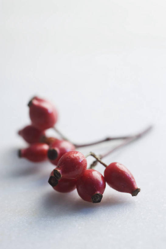 无人,竖图,俯视,室内,特写,白天,白色背景,餐桌,桌子,水果,许多,阴影,朦胧,模糊,新鲜,反射,影子,生食,食品,果实,很多,食物,红色,果肉,摄影,有机食品,绿色食品,影棚,餐台,蔷薇果,玫瑰果,彩图,高角度拍摄,影棚拍摄,拍摄