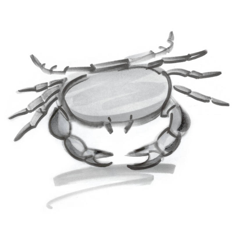 蟹,无人,方图,黑白,插画,室内,特写,白天,正面,数码,科技,阴影,网络,螃蟹,高光,几何,计算机图形,浪漫,合成,图画,注视,画,一只,观察,看,趴着,温暖,星座,观看,电脑合成图,数码合成图,察看,合成图,关注,忧郁,占卜,漫画,写实,具体,具象,多愁善感,巨蟹座,领导型,趴