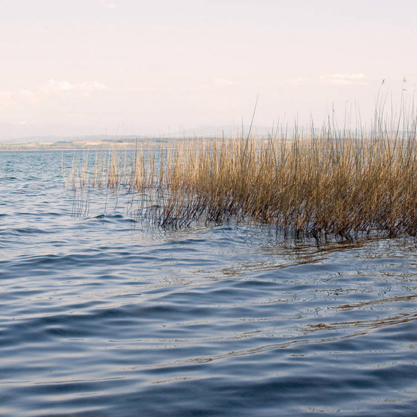 无人,方图,室外,白天,正面,旅游,度假,湖,湖泊,美景,水,植物,法国,欧洲,阴影,波纹,枯萎,光线,影子,湖面,景观,水流,水面,枯草,涟漪,娱乐,草,黄色,蓝色,蓝天,水纹,天空,阳光,自然,波浪,湖水,天,享受,休闲,景色,放松,晴朗,自然风光,万里无云,法兰西共和国,水晕,法兰西第五共和国,猫尾草,牧草,梯牧草,晴空,晴空万里,彩图
