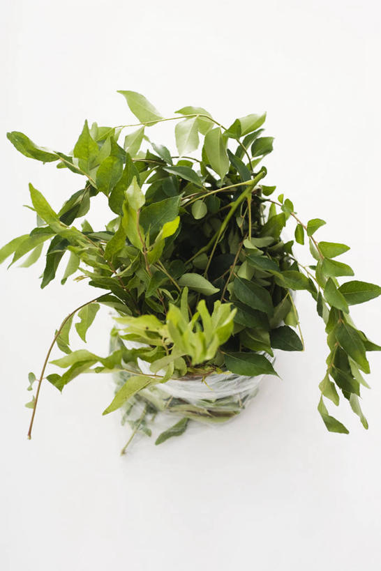 咖哩,无人,竖图,俯视,室内,特写,白天,购物,消费,餐桌,桌子,袋子,叶子,手提袋,塑料,调料,绿叶,购物袋,调味品,调味料,塑料袋,咖喱,塑料制品,嫩叶,金融,摄影,影棚,餐台,购买,贸易,马夹袋,马甲袋,叶,叶片,彩图,高角度拍摄,影棚拍摄,拍摄,咖喱叶