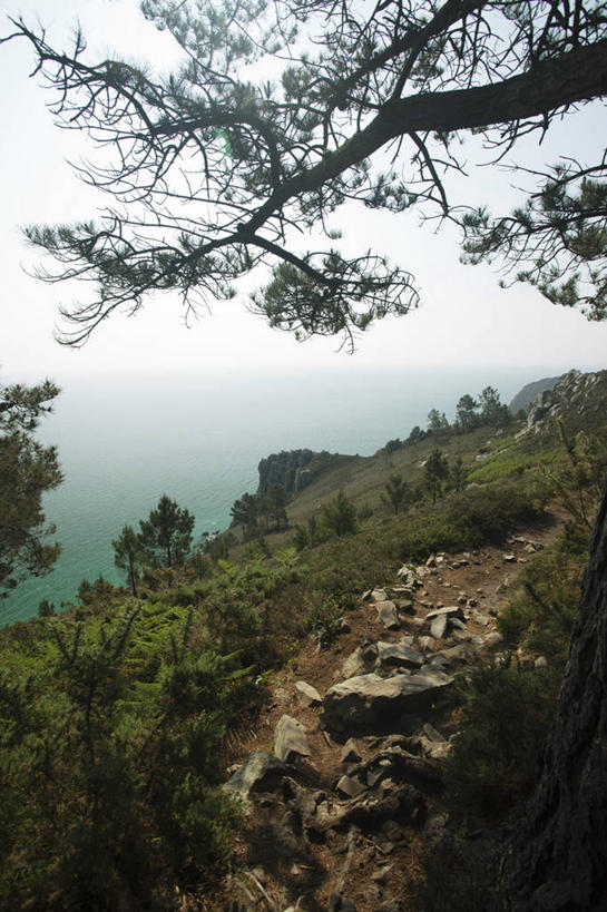 无人,竖图,室外,白天,正面,旅游,度假,美景,山,山脉,树林,植物,法国,欧洲,阴影,光线,影子,景观,山峰,山峦,娱乐,树,树木,蓝色,绿色,蓝天,天空,阳光,自然,群山,天,享受,休闲,景色,放松,生长,晴朗,成长,布列塔尼,自然风光,万里无云,法兰西共和国,法兰西第五共和国,菲尼斯泰尔省,布列塔尼地区,非尼斯泰尔省,晴空,晴空万里,彩图