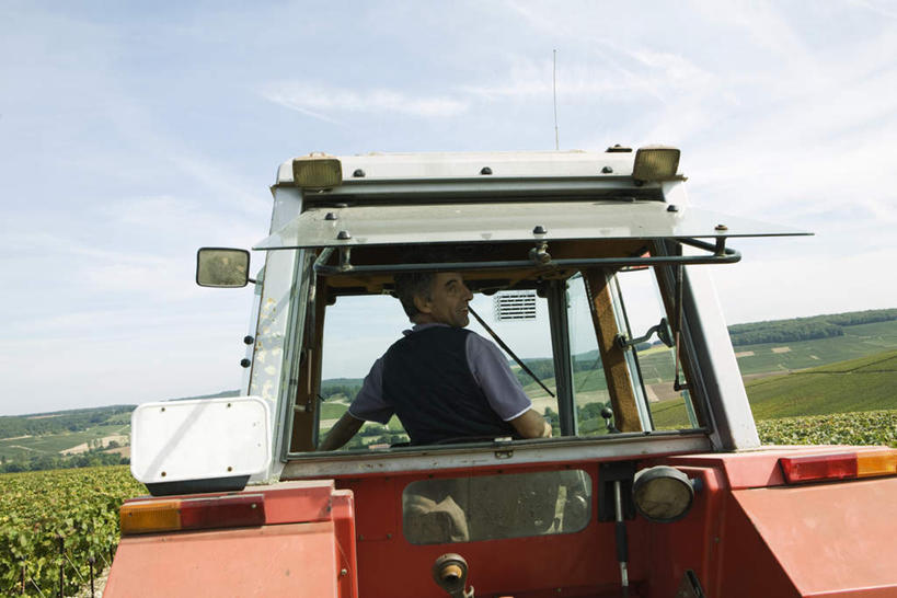 西方人,一个人,果园,坐,横图,室外,白天,草地,草坪,田园,植物,窗户,卡车,汽车,欧洲,欧洲人,仅一个男性,仅一个人,仅一个中年男性,一辆,阴影,服装,光线,影子,云,云朵,云彩,注视,休闲装,葡萄园,玻璃窗,车,草,背面,衣服,蓝色,绿色,白云,蓝天,天空,阳光,庄园,交通工具,天,观察,驾驶,看,转头,休闲,休闲服,服饰,观看,察看,关注,男人,男性,中年男性,白种人,驾驶员,坐着,半身,彩图