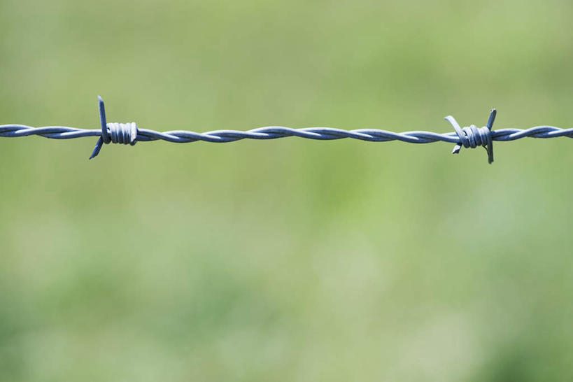 无人,横图,室外,特写,白天,正面,一根,阴影,朦胧,模糊,缠绕,光线,金属,影子,阳光,铁丝,静止,尖锐,危险,彩图