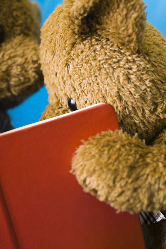 无人,竖图,室内,特写,白天,正面,看书,阅读,纯洁,熊,静物,书籍,玩具,学习,蓝色背景,玩偶,泰迪熊,两个,玩具熊,书本,看,可爱,童年,童趣,读书,浏览,摄影,影棚,童真,烂漫,无邪,天真,书,图书,彩图,影棚拍摄,拍摄