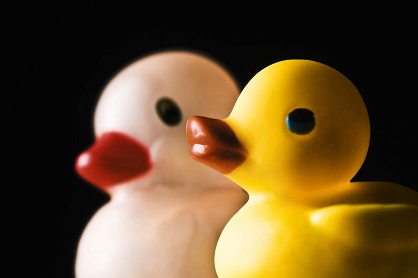 无人,横图,室内,特写,白天,正面,游戏,静物,玩具,黑色背景,鸭子,玩,娱乐,两个,黄色,白色,休闲,橡胶,益智,摄影,影棚,活动,发泄,消遣,智力,橡胶制品,宣泄,橡胶小鸭,橡皮小鸭,玩耍,嬉戏,彩图,影棚拍摄,拍摄