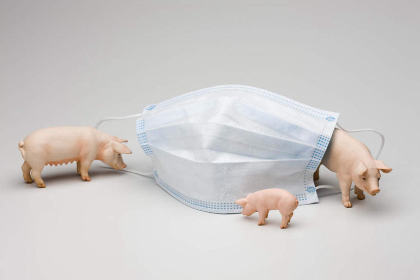 无人,横图,俯视,室内,白天,白色背景,微生物,玩具,分离,医学,过滤,分开,小猪,三个,一个,口罩,隔断,生物,遮掩,摄影,影棚,单个,隔离,医疗,病毒,卫生,生物学,掩盖,遮挡,净化,间隔,预防,流感,遮盖,防尘,掩饰,断绝,隔开,屏蔽,屏绝,远离,中断,阻遏,阻隔,寄生,生命体,生物病毒,猪流感,彩图,高角度拍摄,影棚拍摄,拍摄