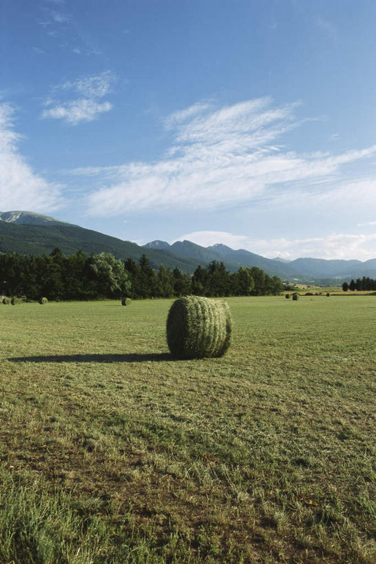 无人,竖图,室外,白天,正面,旅游,度假,草地,草坪,美景,山,山脉,树林,植物,西班牙,欧洲,景观,山峰,云,云朵,干草堆,山峦,云彩,娱乐,草,树,树木,蓝色,绿色,白云,蓝天,天空,自然,群山,天,享受,休闲,景色,放松,生长,晴朗,成长,南欧,自然风光,加泰罗尼亚,西班牙王国,晴空,彩图