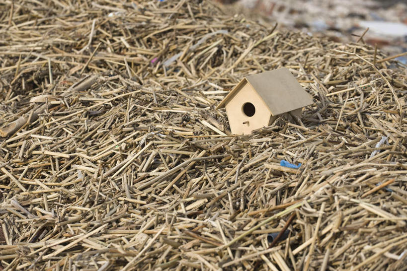 无人,横图,俯视,室外,特写,白天,静物,一堆,许多,废弃,堆叠,堆积,桶,垃圾,一个,绿色,容器,肮脏,单个,储藏,堆,塑料桶,垃圾场,储存,丢弃,邋遢,收集,龌龊,污秽,彩图,高角度拍摄,贮存