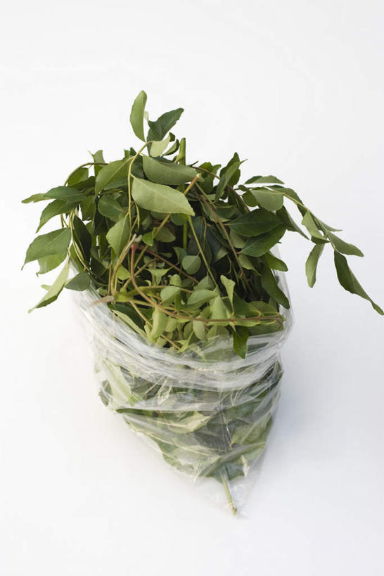 无人,竖图,俯视,室内,白天,白色背景,桌面,桌子,芹菜,蔬菜,许多,新鲜,食品,食物,摄影,有机食品,绿色食品,影棚,药芹,水芹,旱芹,彩图,高角度拍摄,影棚拍摄,拍摄