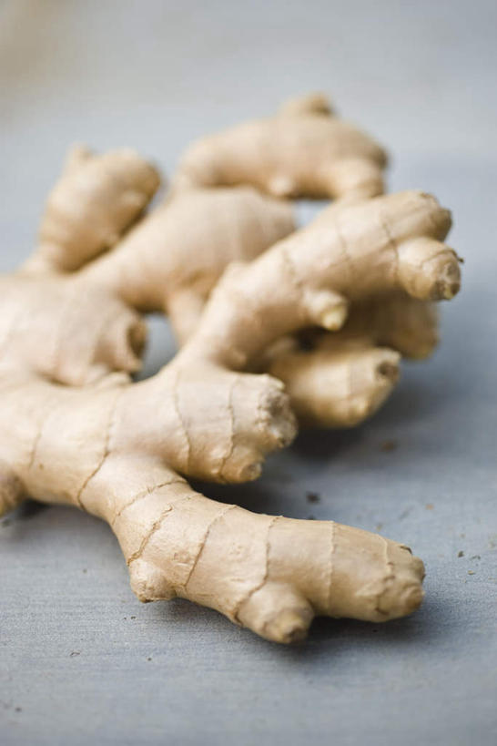 无人,竖图,俯视,室内,特写,白天,姜,蔬菜,新鲜,食品,食物,一个,黄色,摄影,有机食品,绿色食品,影棚,单个,生姜,老姜,彩图,高角度拍摄,影棚拍摄,拍摄