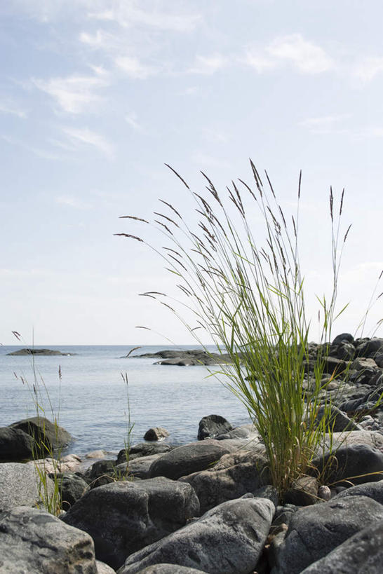 无人,竖图,室外,白天,正面,旅游,度假,海浪,海洋,石头,美景,植物,阴影,光线,石子,影子,景观,浪花,水平线,云,云朵,辽阔,海平线,野草,云彩,娱乐,蓝色,绿色,白云,蓝天,天空,阳光,自然,海水,天,享受,休闲,广阔,景色,放松,生长,晴朗,成长,一望无际,自然风光,海景,无边无际,一马平川,大海,风浪,海,海水的波动,近岸浪,石块,岩石,涌浪,晴空,彩图,水天相接,水天一线