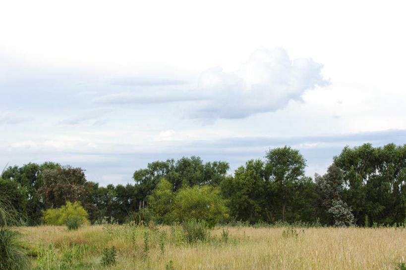 无人,横图,室外,白天,正面,旅游,度假,草地,草坪,美景,植物,阴影,光线,影子,景观,云,云朵,云彩,娱乐,草,树,树木,蓝色,绿色,白云,蓝天,天空,阳光,自然,天,享受,休闲,景色,放松,生长,晴朗,成长,宁静,安宁,自然风光,晴空,彩图