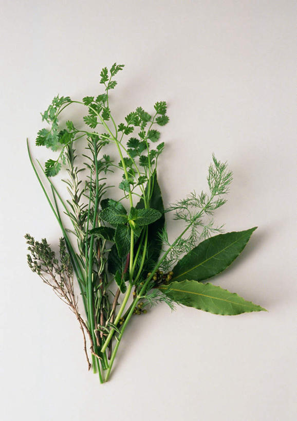 无人,竖图,俯视,室内,特写,白天,白色背景,餐桌,桌子,静物,调料,调味品,调味料,绿色,香草,摄影,影棚,餐台,彩图,高角度拍摄,影棚拍摄,拍摄