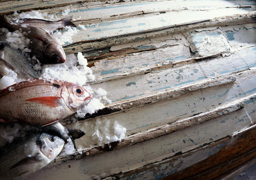 海鲜,无人,横图,俯视,室外,特写,白天,船,鱼,食品,水产,食物,交通工具,海产品,彩图,高角度拍摄