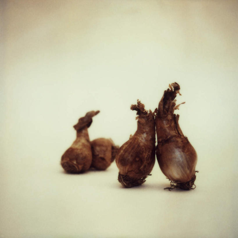 无人,方图,室内,特写,白天,白色背景,正面,静物,朦胧,模糊,摄影,影棚,彩图,影棚拍摄,拍摄