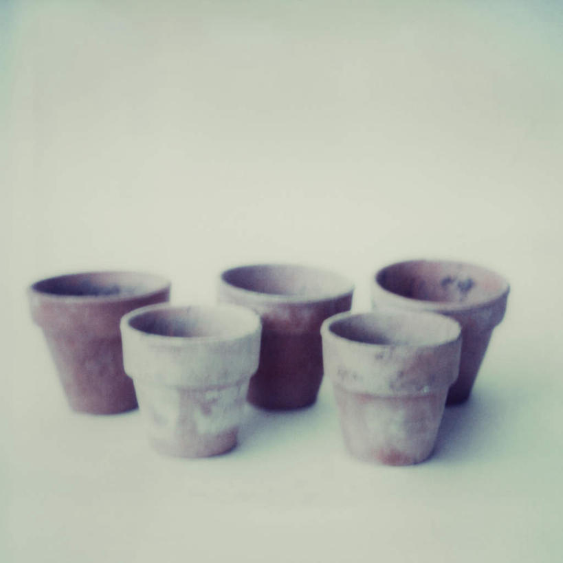 无人,方图,俯视,室内,特写,白天,白色背景,静物,花盆,五个,一排,许多,朦胧,模糊,整齐,盆栽,陶瓷,泥土,盆景,陶瓷制品,排列,摄影,影棚,队列,彩图,高角度拍摄,影棚拍摄,拍摄