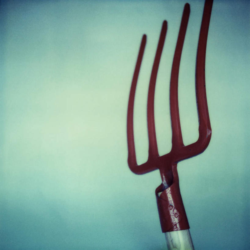 无人,方图,室内,特写,白天,白色背景,正面,农业,静物,一把,朦胧,模糊,叉子,工具,叉,摄影,影棚,耙,农具,彩图,影棚拍摄,拍摄