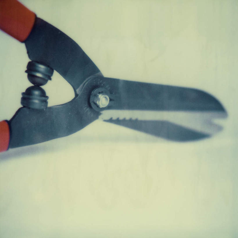 无人,方图,俯视,室内,特写,白天,白色背景,农业,静物,修剪,朦胧,模糊,工具,剪刀,摄影,影棚,裁剪,剪子,剪裁,切割,农具,园艺剪,彩图,高角度拍摄,影棚拍摄,拍摄