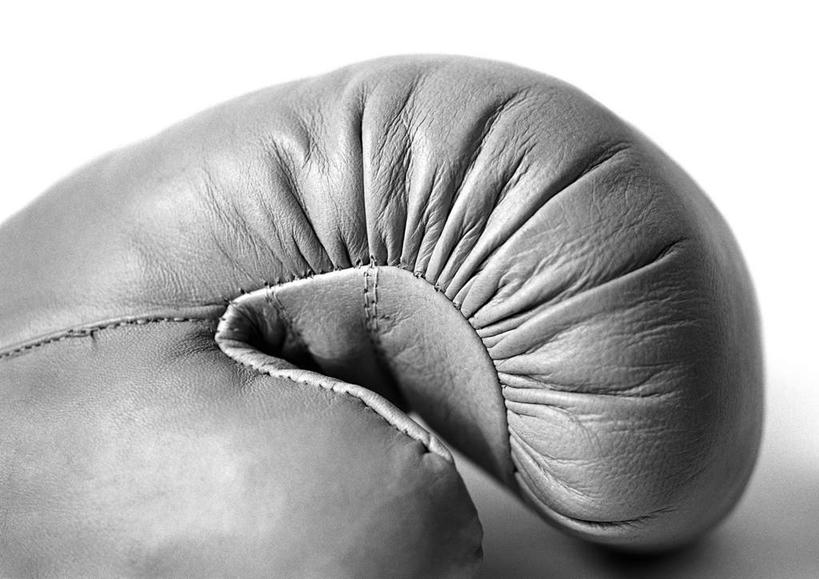 无人,横图,黑白,室内,特写,白天,白色背景,正面,锻炼,运动,拳击,静物,阴影,反射,光线,影子,拳击手套,运动器械,一个,一只,手套,健身器械,摄影,影棚,单个,健身器材,拳击运动,体育,影棚拍摄,健身,拍摄,运动器材