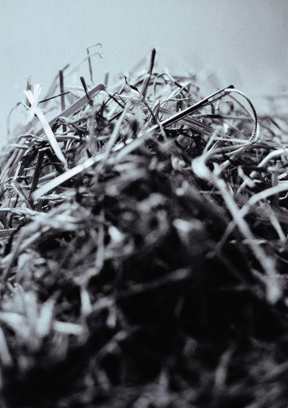 无人,竖图,室内,特写,白天,正面,静物,一堆,许多,阴影,堆叠,堆积,灰色背景,反射,光线,线,影子,针,摄影,影棚,缝纫,堆,杂乱,无序,针线,彩图,影棚拍摄,拍摄