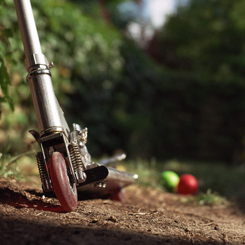 无人,方图,室内,特写,白天,正面,游戏,草地,草坪,植物,玩具,一辆,阴影,朦胧,模糊,光线,影子,地面,玩,娱乐,球,草,树,树木,两个,红色,绿色,阳光,自然,休闲,滑板车,益智,生长,成长,活动,发泄,消遣,智力,宣泄,玩耍,嬉戏,彩图