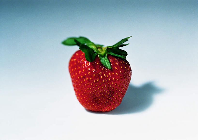 无人,横图,俯视,室内,特写,白天,白色背景,桌面,草莓,水果,阴影,新鲜,反射,影子,生食,食品,果实,食物,一个,红色,绿色,球体,摄影,有机食品,绿色食品,影棚,单个,萼片,洋莓,水果皇后,红莓,地莓,彩图,高角度拍摄,影棚拍摄,拍摄