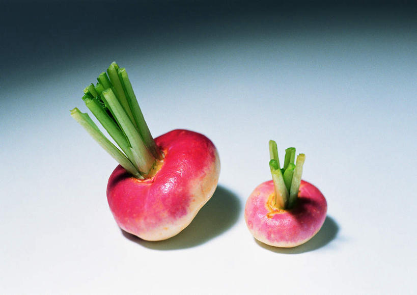 无人,横图,俯视,室内,特写,白天,白色背景,桌面,蔬菜,阴影,新鲜,反射,影子,食品,根,芜菁,食物,两个,红色,绿色,球体,摄影,有机食品,绿色食品,影棚,蔓菁,盘菜,大头芥,彩图,高角度拍摄,影棚拍摄,拍摄