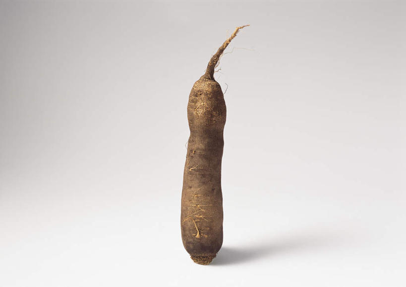 无人,横图,俯视,室内,特写,白天,白色背景,农作物,餐桌,桌子,蔬菜,新鲜,食品,褐色,食物,一个,摄影,有机食品,绿色食品,影棚,单个,餐台,木薯,树薯,木番薯,树番薯,彩图,高角度拍摄,影棚拍摄,拍摄