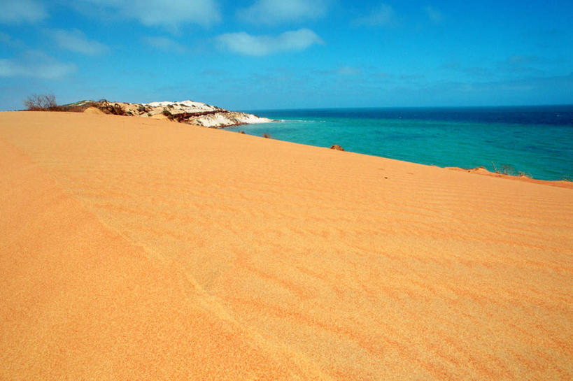 无人,竖图,室外,白天,正面,旅游,度假,海浪,海洋,美景,澳大利亚,阴影,光线,木板,影子,景观,浪花,水平线,桥,木桥,海平线,娱乐,栈桥,蓝色,蓝天,天空,阳光,自然,海水,天,享受,休闲,景色,放松,晴朗,人行桥,木板桥,国家公园,自然风光,大洋洲,澳洲,海景,万里无云,南方大陆,澳大利亚联邦,弗朗索瓦.贝隆国家公园,西澳大利亚,西澳大利亚州,大海,风浪,海,海水的波动,近岸浪,涌浪,晴空,晴空万里,彩图