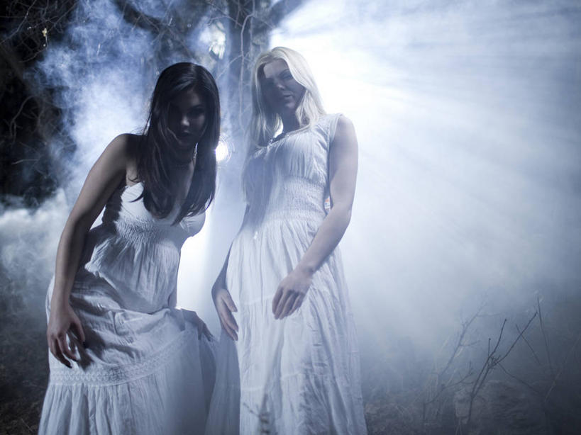 西方人,两个人,站,横图,室外,夜晚,正面,裙子,树林,植物,欧洲,欧洲人,弯腰,连衣裙,朦胧,梦幻,模糊,发光,光束,光亮,注视,树,树木,绿色,自然,观察,看,站着,生长,成长,观看,察看,恐怖,未来,关注,发亮,怪物,吸血鬼,憧憬,可怕,弯身,可骇,恐惧,年轻女性,女人,女性,白种人,站立,半身,彩图,嗜血,血族