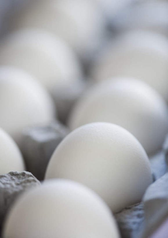 无人,竖图,俯视,室内,特写,白天,一排,许多,阴影,环保,朦胧,模糊,整齐,反射,蛋格,影子,蛋,鸡蛋,排列,白色,能源,回收,资源,队列,利用,低碳,鸡蛋盒,循环,鸡蛋格,蛋托,蛋盒,卵,持续,彩图,高角度拍摄