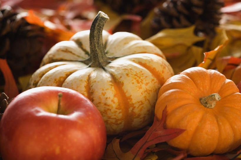 无人,横图,俯视,室外,特写,白天,苹果,南瓜,蔬菜,节日,朦胧,模糊,庆祝,新鲜,金瓜,食品,坚果,果实,松果,文化,番瓜,食物,三个,干果,庆典,有机食品,绿色食品,纪念,麦瓜,倭瓜,松塔,感恩节,彩图,高角度拍摄