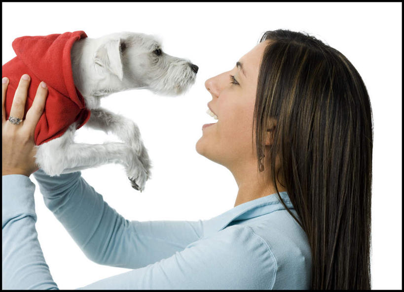 西方人,一个人,站,抱,笑,微笑,露齿笑,横图,室内,白天,白色背景,侧面,宠物,狗,欧洲,欧洲人,仅一个年轻女性,仅一个女性,仅一个人,服装,梗犬,注视,休闲装,一只,衣服,动物,观察,看,站着,休闲,休闲服,可爱,摄影,服饰,影棚,抱着,观看,察看,西高地白梗,搂着,关注,忠诚,年轻女性,女人,女性,白种人,犬,怀抱,搂,搂抱,相抱,拥抱,站立,半身,彩图,影棚拍摄,拍摄,西部高地白梗