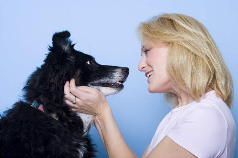 西方人,一个人,蹲,笑,微笑,露齿笑,横图,室内,白天,侧面,宠物,狗,欧洲,欧洲人,仅一个女性,仅一个人,蓝色背景,服装,注视,休闲装,相视,一只,衣服,黑色,动物,观察,看,仅一个中年女性,休闲,面对面,休闲服,可爱,摄影,服饰,影棚,牧羊犬,观看,对视,察看,互视,关注,相对,边境牧羊犬,忠诚,相看,边境柯利牧羊犬,博德牧羊犬,女人,女性,中年女性,白种人,犬,蹲着,半身,彩图,影棚拍摄,拍摄