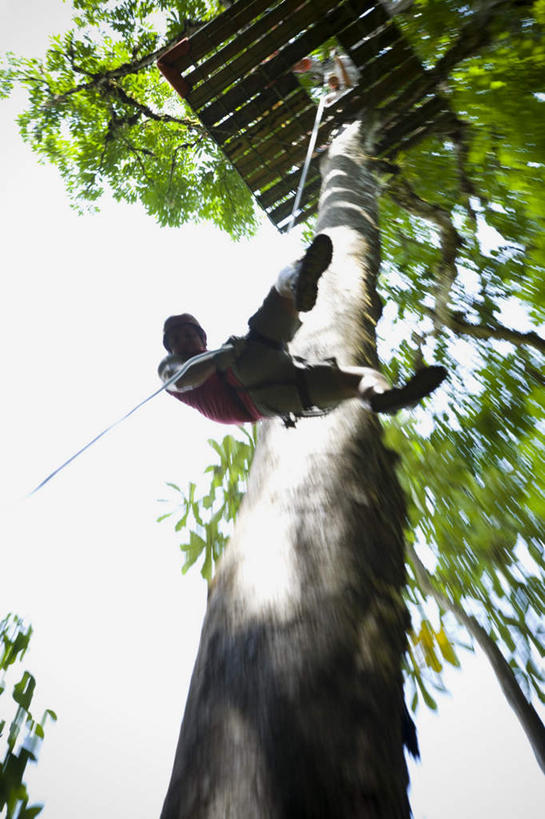 西方人,一个人,拉,竖图,室外,白天,仰视,运动服,锻炼,旅游,度假,探险,安全,运动,树林,植物,欧洲,欧洲人,仅一个男性,仅一个人,服装,带子,防护,注视,娱乐,极限运动,树,树木,仅一个年轻男性,衣服,绿色,自然,安全带,绳子,观察,看,享受,休闲,放松,服饰,生长,成长,观看,保护,绳索,察看,衣着,穿着,关注,室外运动,下降,降落,保险,户外运动,速降,安全绳,保全,周全,安稳,安定,衣饰,降低,下跌,下落,冒险,平安,体育,男人,男性,年轻男性,白种人,彩图,低角度拍摄,全身,健身,运动装