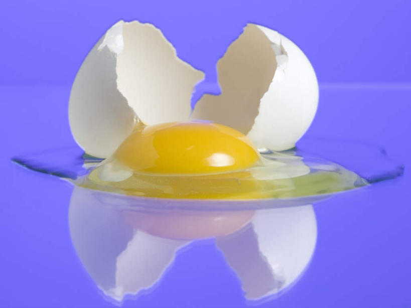 无人,横图,室内,特写,白天,正面,蓝色背景,蛋,蛋黄,蛋清,鸡蛋,破坏,破损,摄影,影棚,损坏,卵,彩图,影棚拍摄,拍摄