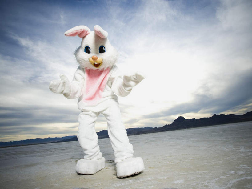 西方人,一个人,站,横图,室外,白天,仰视,戏服,游戏,哺乳动物,欧洲,欧洲人,仅一个男性,仅一个人,表演,服装,兔子,云,云朵,玩,云彩,注视,娱乐,扮演,仅一个年轻男性,衣服,蓝色,白云,蓝天,天空,动物,天,观察,看,站着,休闲,服饰,晴朗,观看,活动,兔,察看,衣着,穿着,发泄,关注,消遣,智力,角色扮演,表演服,演出服,宣泄,衣饰,饰演,演戏,道具服,男人,男性,年轻男性,白种人,晴空,玩耍,嬉戏,站立,彩图,低角度拍摄,全身