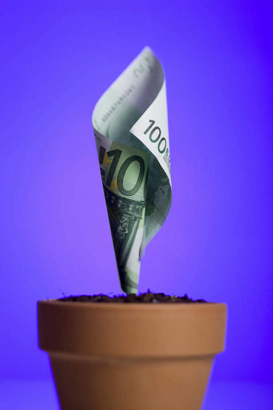 无人,竖图,室内,特写,白天,正面,钱,静物,蓝色背景,盆栽,钱币,欧元,钞票,金融,纸币,摄影,影棚,经济,流通,纸钞,贸易,货币,现金,彩图,影棚拍摄,拍摄