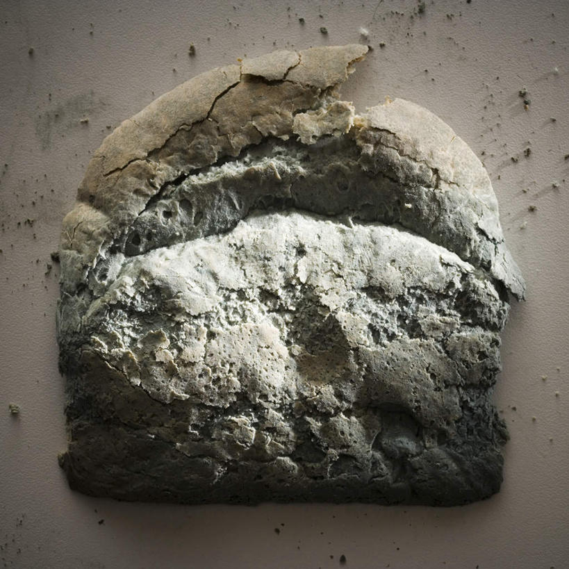 点心,面包,无人,方图,室内,特写,白天,正面,一块,发霉,食品,面点,食物,糕点,摄影,影棚,腐烂,毁坏,彩图,影棚拍摄,拍摄