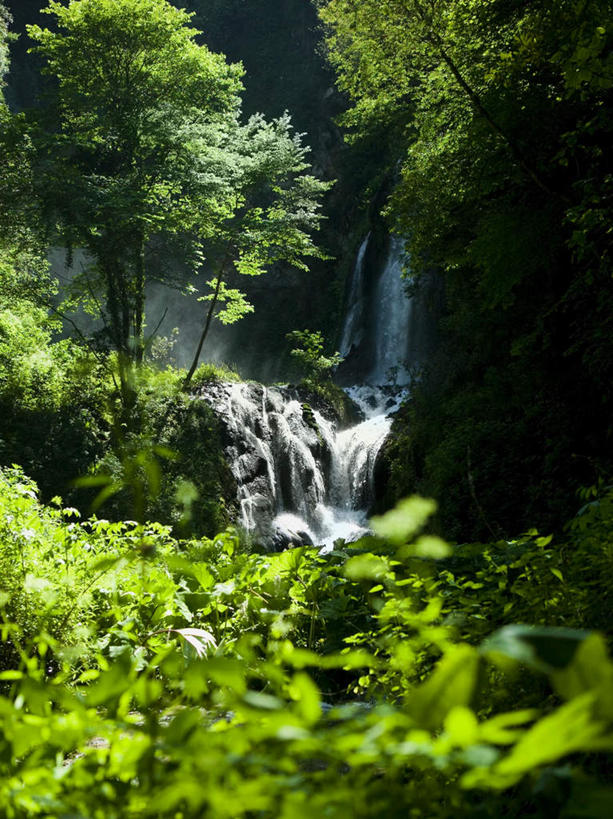 无人,竖图,室外,白天,正面,旅游,度假,石头,美景,瀑布,森林,树林,水,植物,意大利,欧洲,飞溅,溅,石子,液体,景观,水滴,娱乐,水珠,树,树木,绿色,自然,享受,休闲,景色,放松,生长,成长,南欧,喷洒,自然风光,沉积岩,意大利共和国,蒂沃利,水成岩,跌水,石块,岩石,彩图