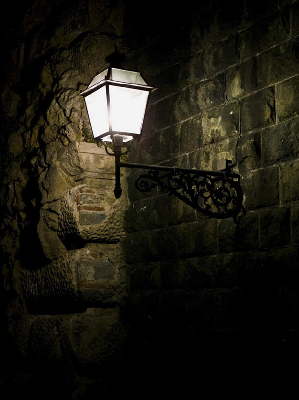 无人,家,竖图,室外,特写,夜晚,正面,照明,意大利,佛罗伦萨,欧洲,阴影,光线,壁灯,影子,房屋,墙,屋子,灯光,楼房,墙壁,墙面,住宅,灯,灯具,照亮,照明设备,托斯卡纳,南欧,意大利共和国,首府,百花之城,翡冷翠,托斯卡纳大区,彩图,房子