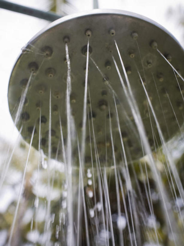 无人,竖图,室外,特写,白天,仰视,水,植物,飞溅,朦胧,模糊,溅,液体,水滴,花洒,莲蓬头,水珠,树,树木,绿色,自然,生长,成长,喷洒,喷雾头,彩图,低角度拍摄